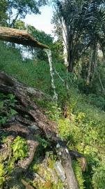 AIR BERKHASIAT DI PETILASAN PONCOWOLO